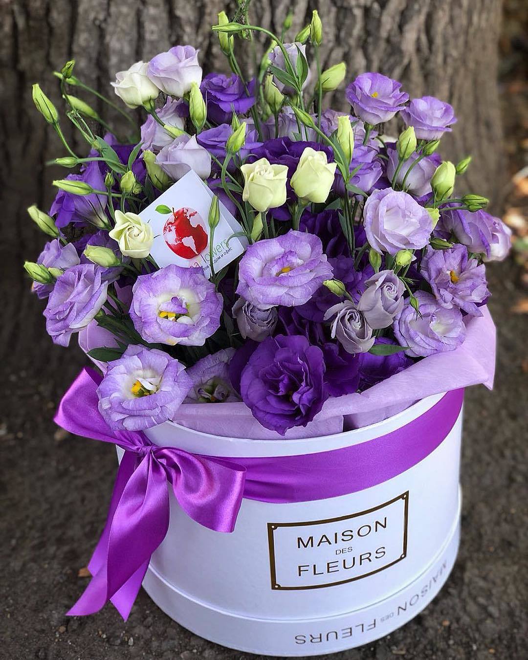 25 Фиолетовых Эустом Изысканных